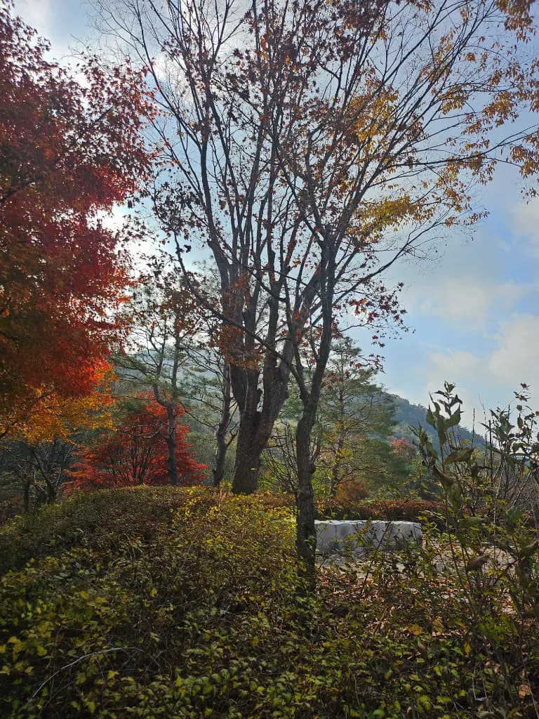 South Korea
