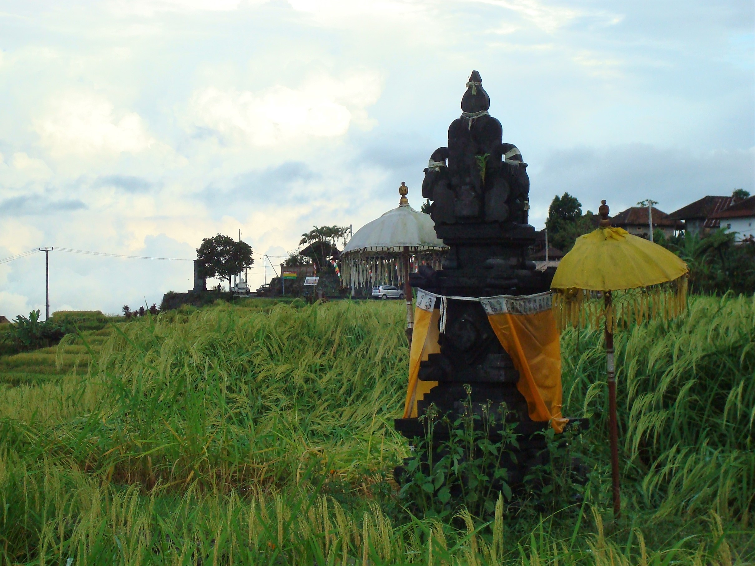 Jatiluwih Rice Terraces Bali