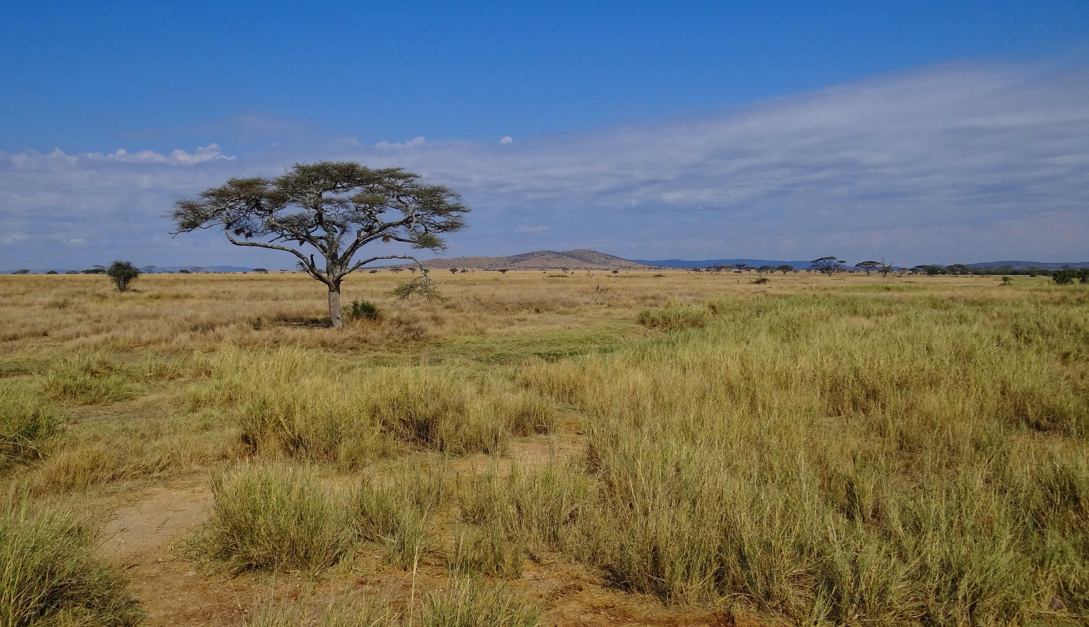 Serengeti National Park