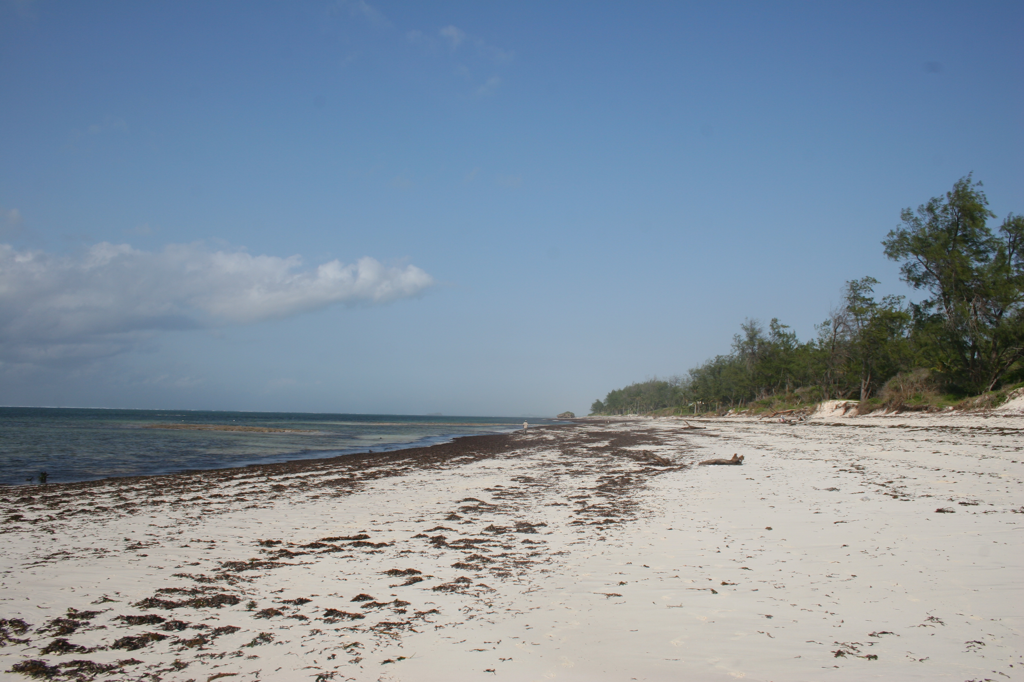 Aliwal Shoal, South Africa