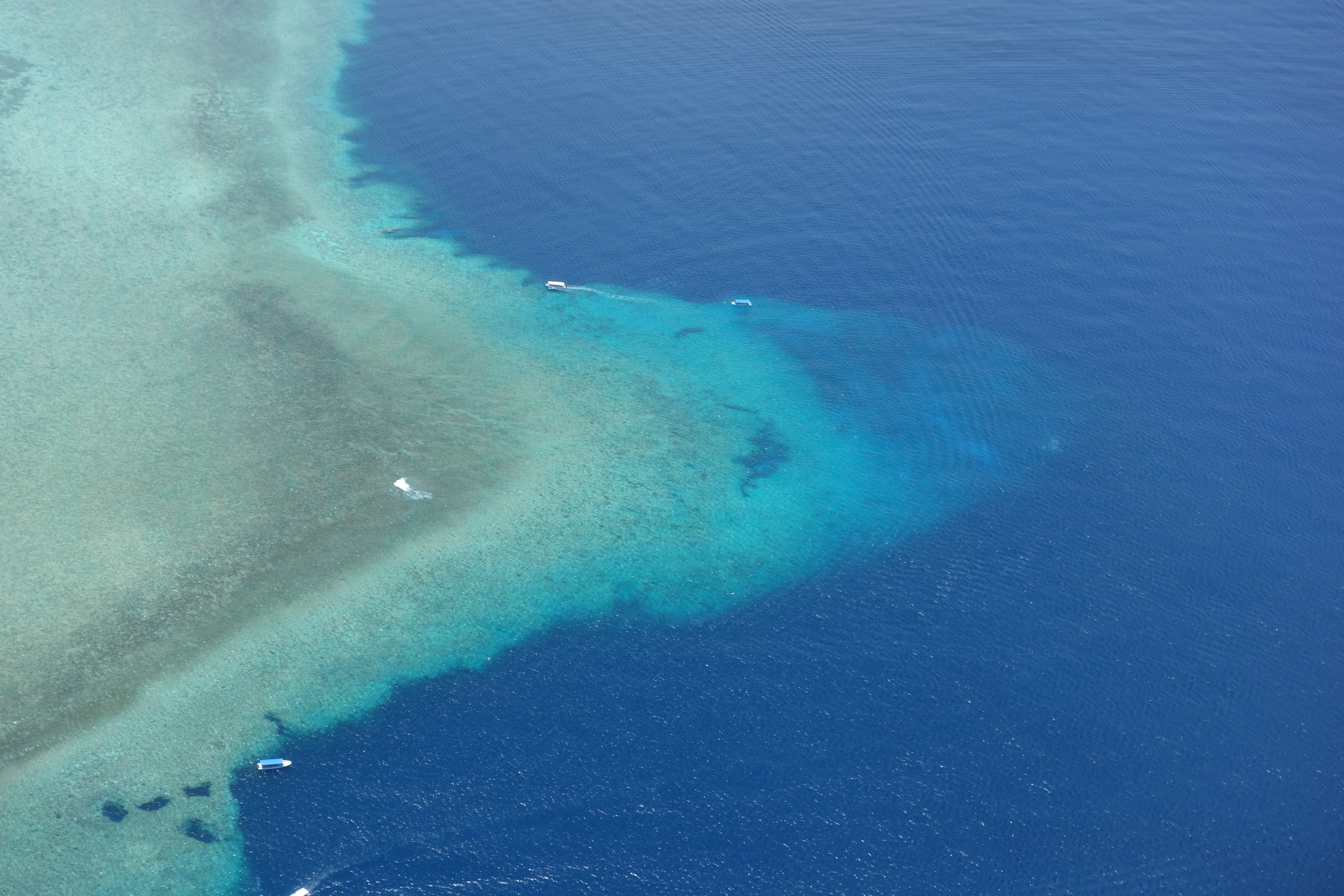 Palau Blue Corner