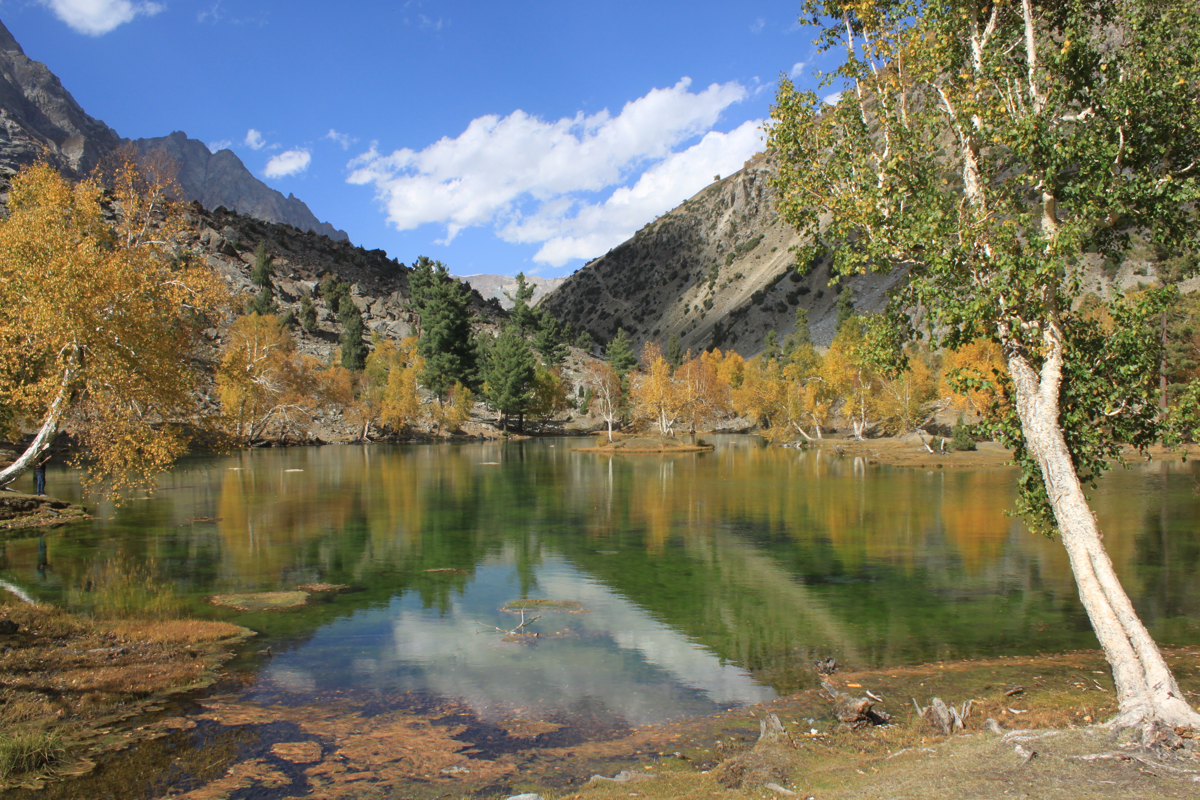 Naltar