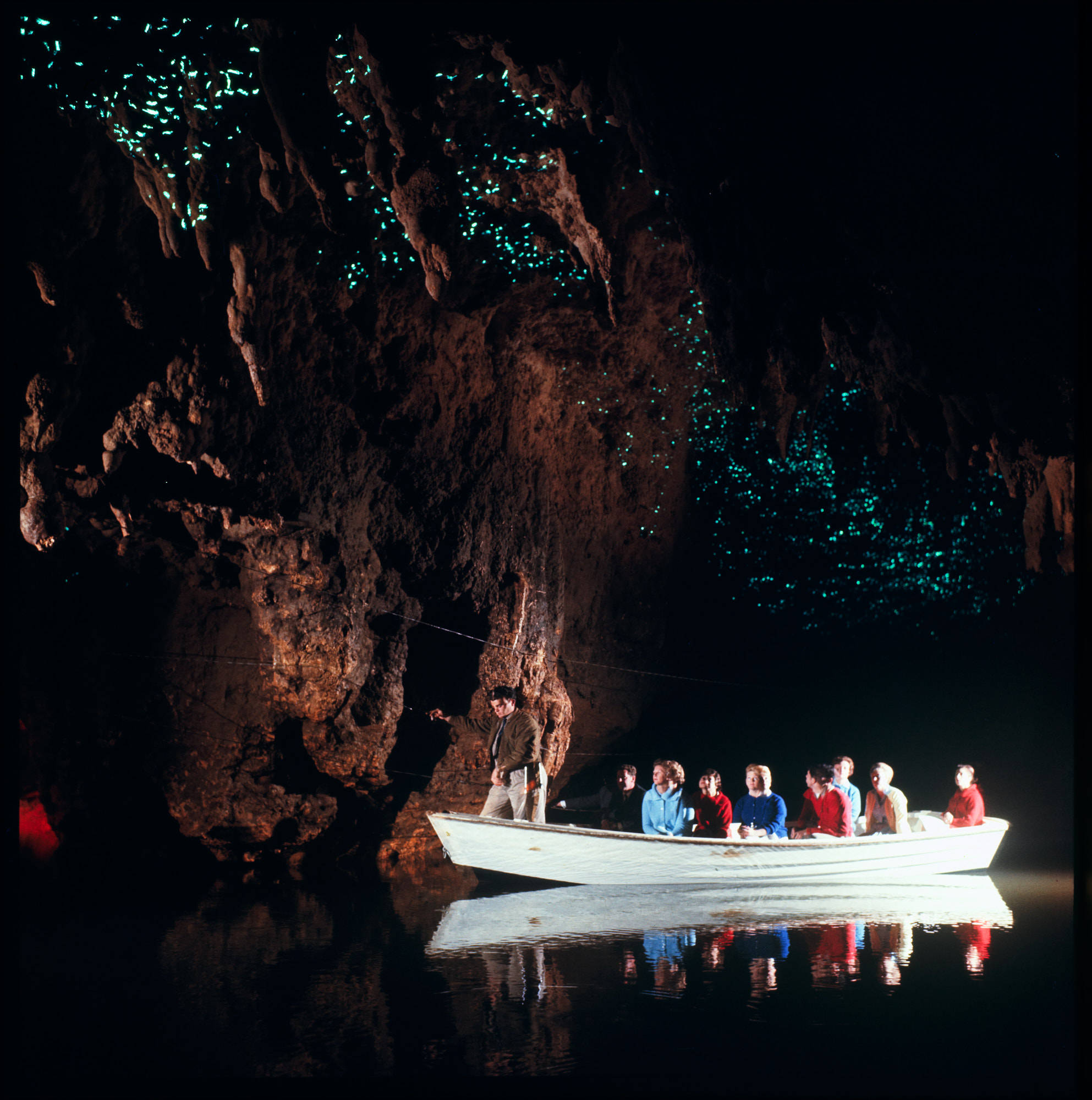 Waitomo Glowworm Caves