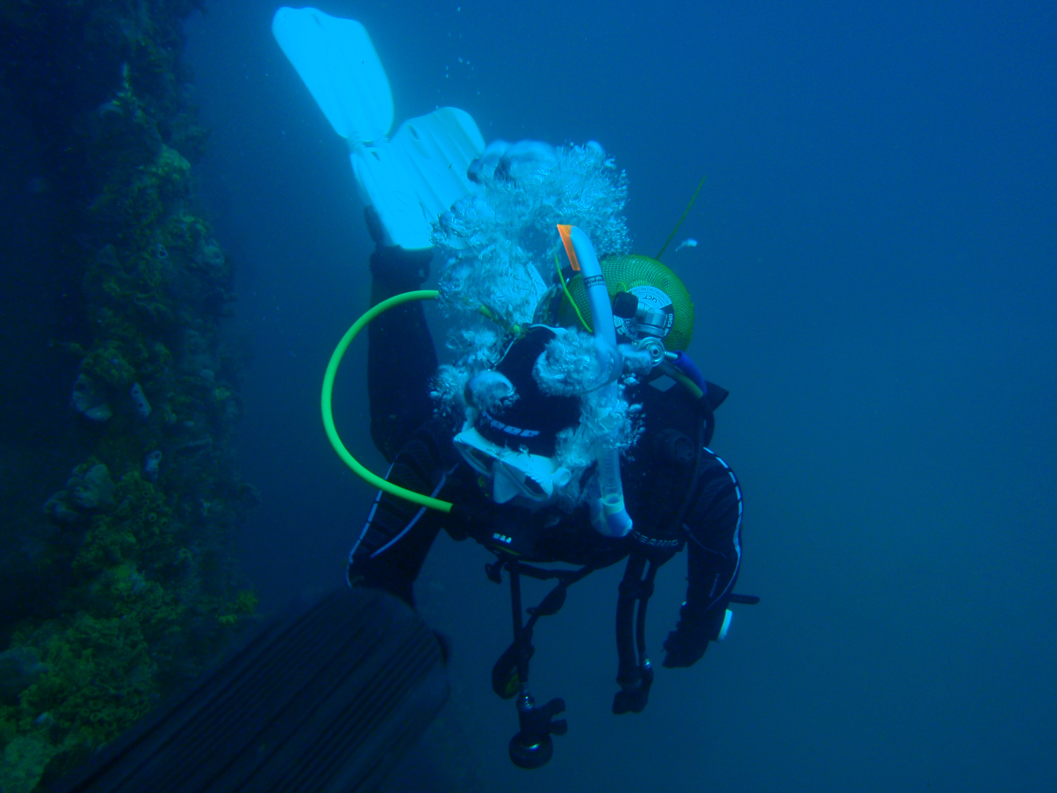 Palau Wrecks, Micronesia