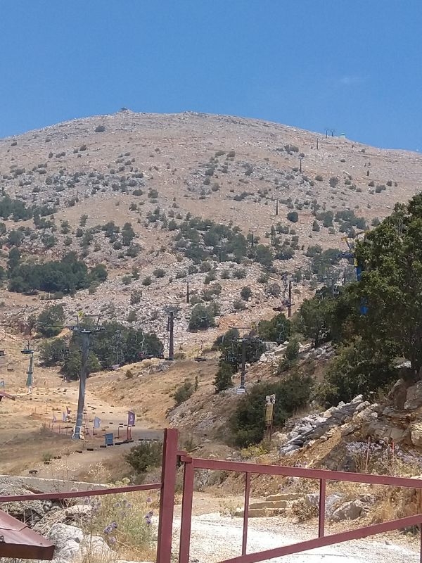 The Cedars