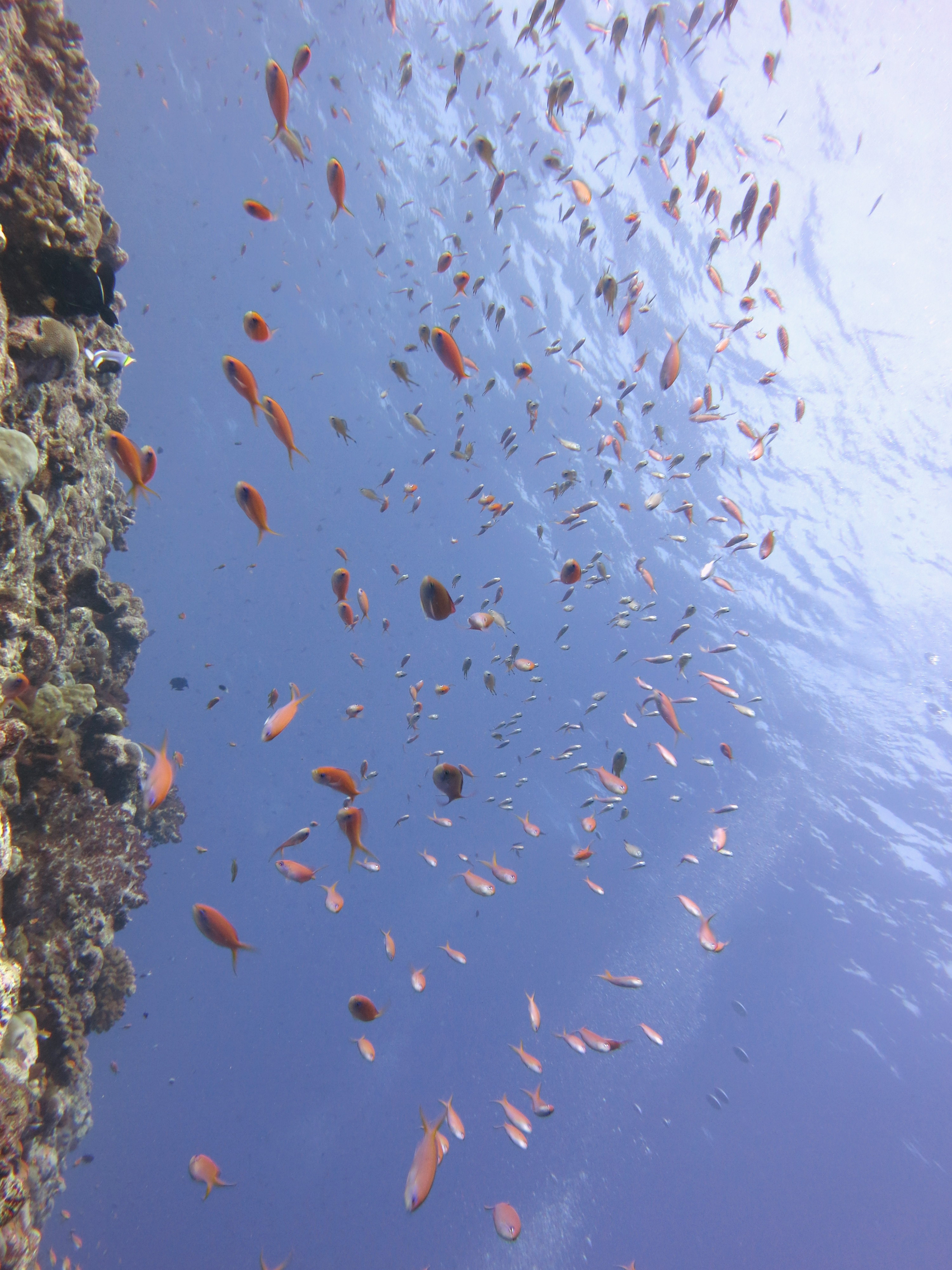 Pulau Weh, Indonesia